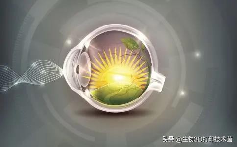 naturecommunications有纸质版吗,naturecommunications是材料类吗