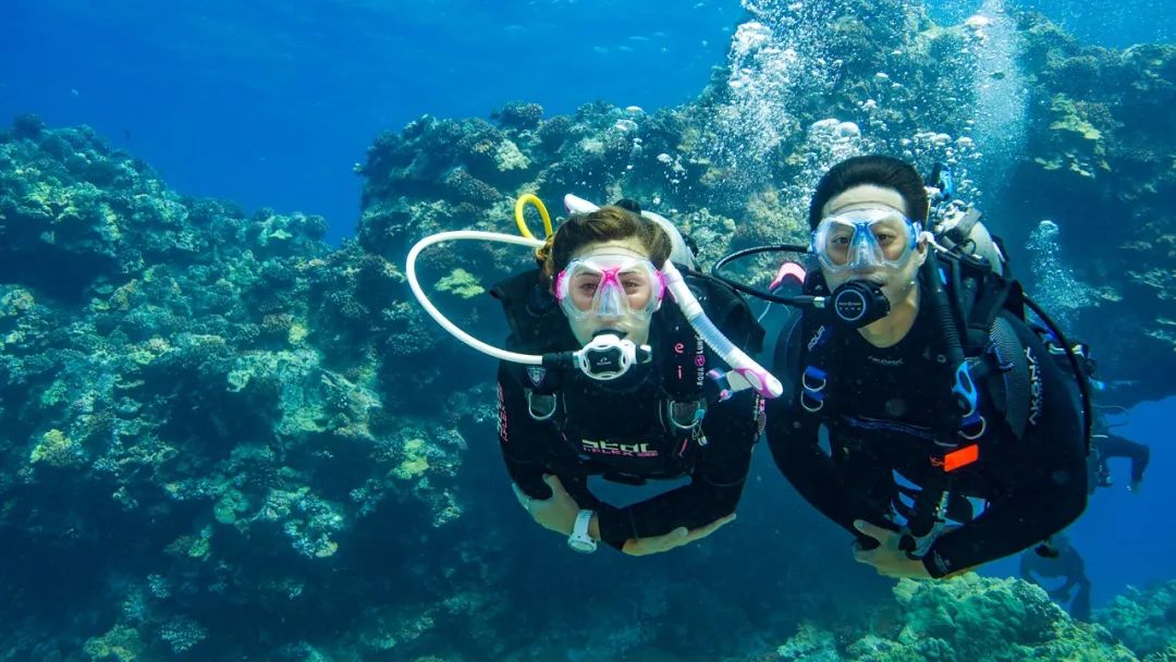 你多久没潜水了？做好这些，重燃对潜水的热情