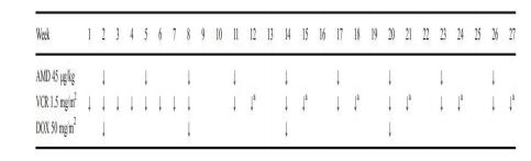 儿童肾母细胞瘤严重吗,儿童肾母细胞瘤最新治疗规定