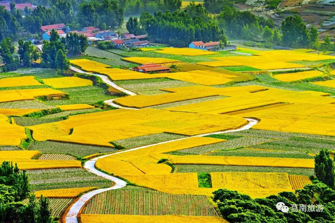 莒南自驾游免费景点大全图片,莒南春季游玩好去处推荐