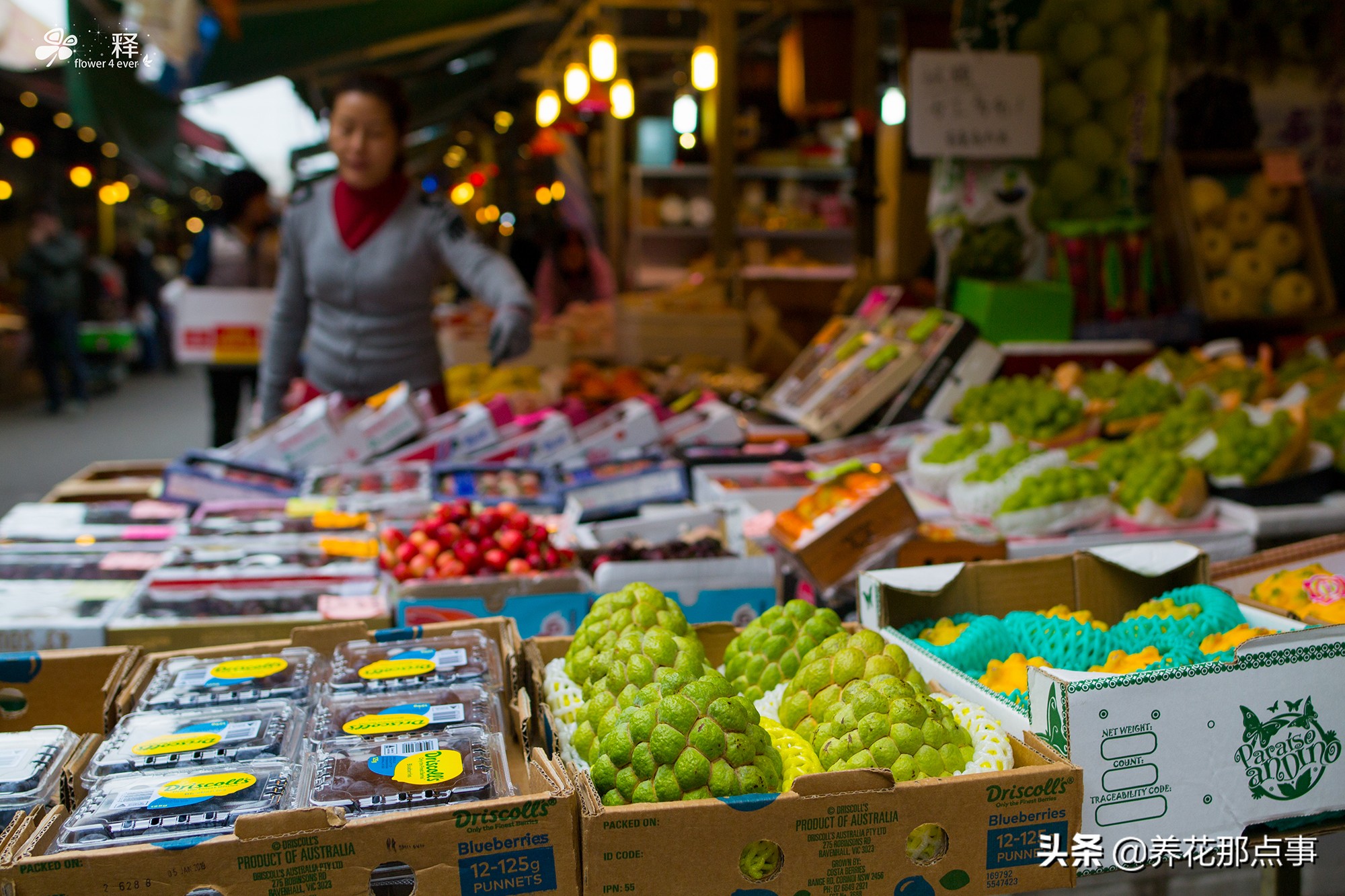 水果一斤一百多，穷人都吃不起蔬菜水果，这才是真正的香港
