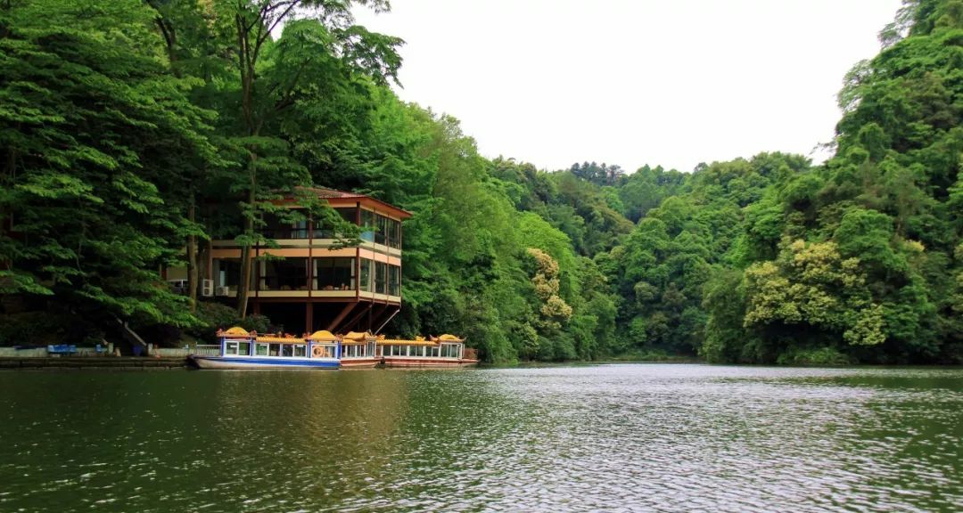 浦江朝阳湖值得游玩吗,浦江夜色旅游攻略