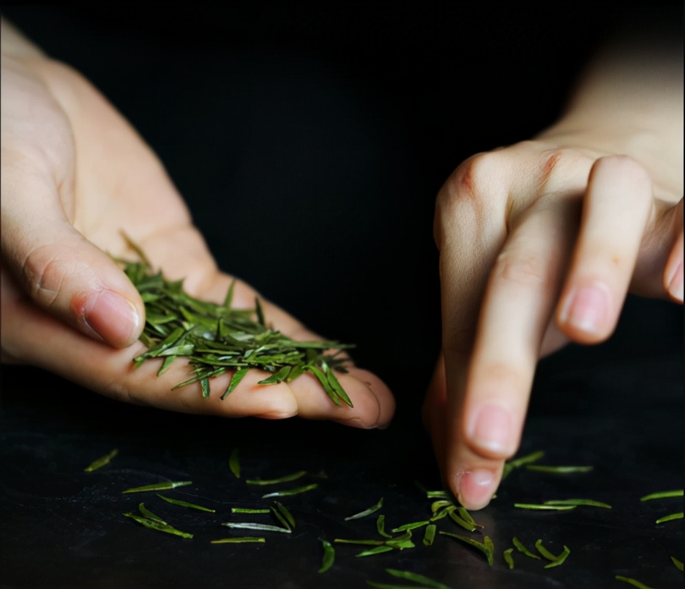 竹叶青茶是怎么做到味道浓郁的,中国高山好茶竹叶青