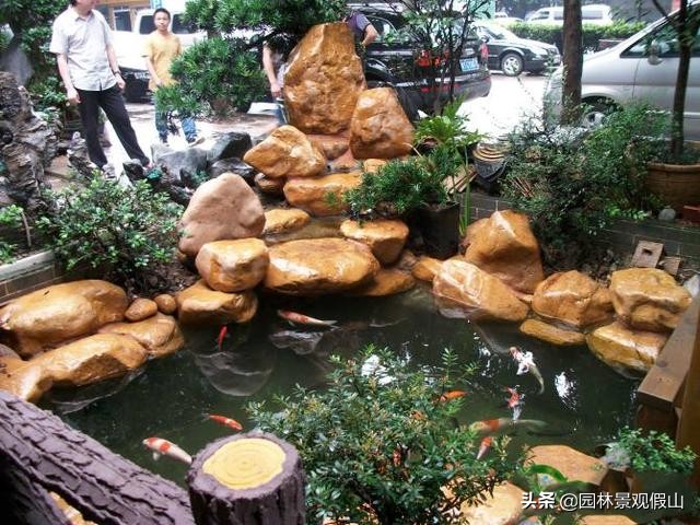 客厅假山摆放十大禁忌,假山盆景摆在客厅什么位置是吉位