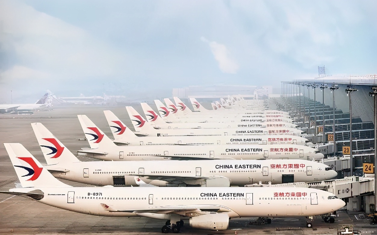 “半年五次随心飞，我还是没算清是赚还是亏”