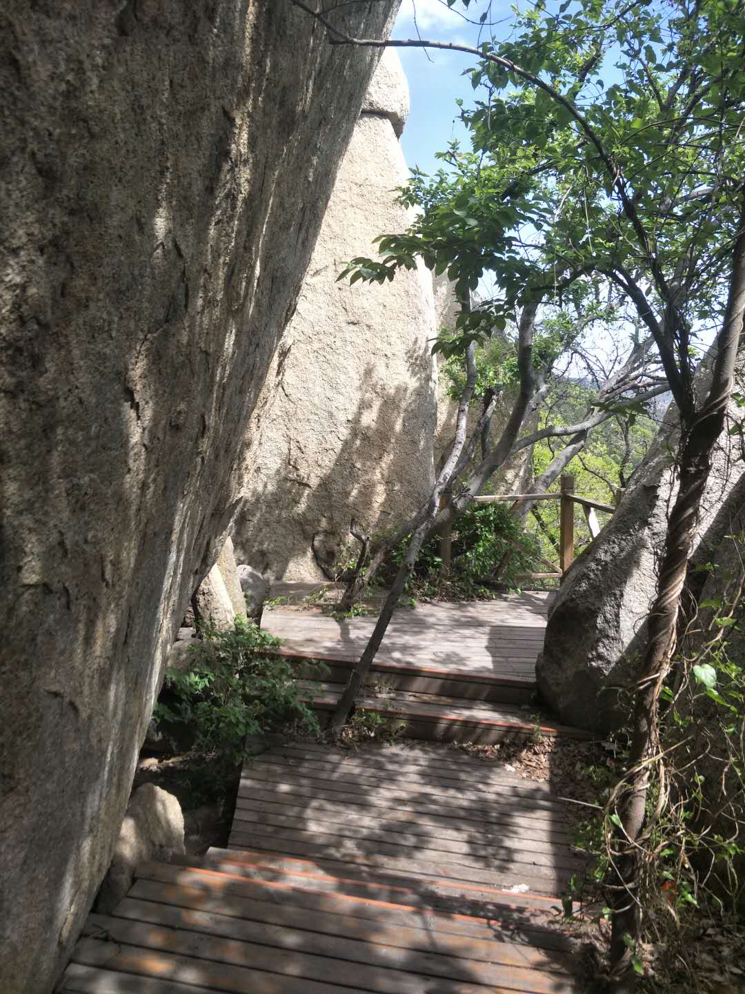 踏春五宝庵风景,踏春五宝庵山在哪里