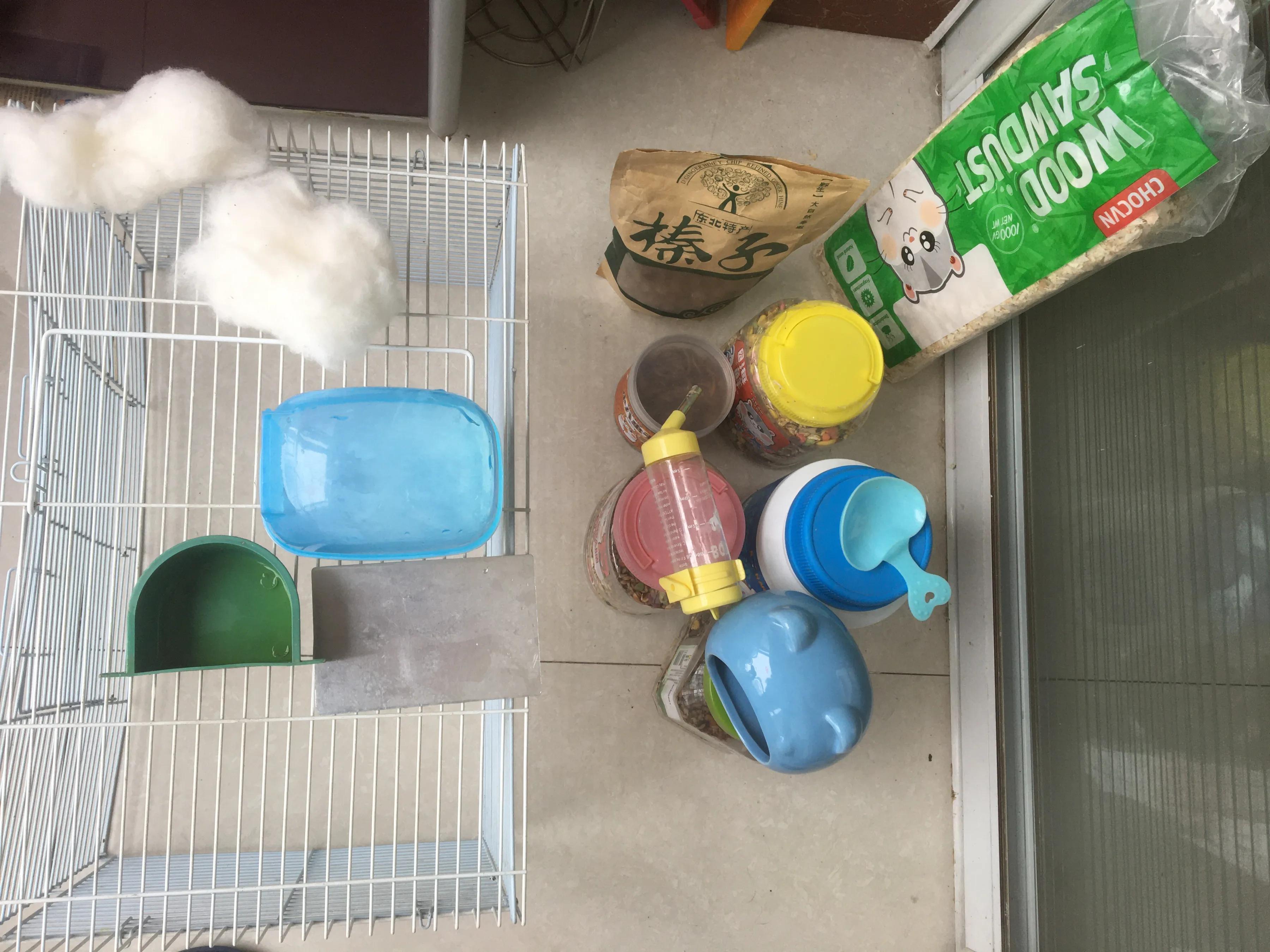 仓鼠观察记录表格,仓鼠逃亡记录视频