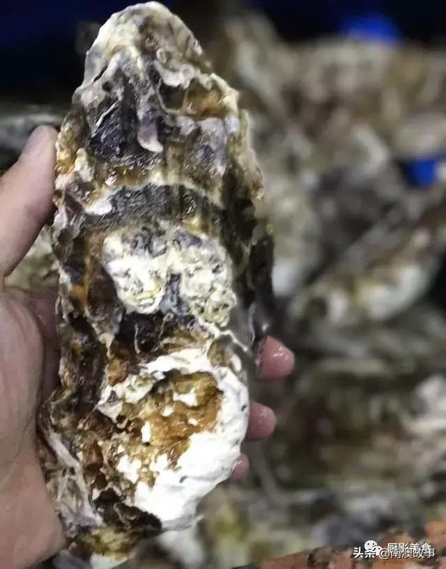 水煮贝壳类海鲜煮多久,海边海鲜用什么水煮好吃