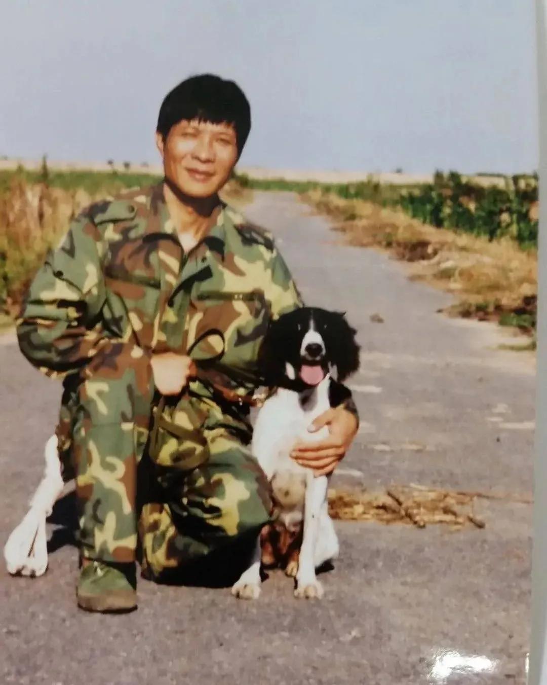 十大最著名的警犬故事,有哪些关于警犬的英勇事迹