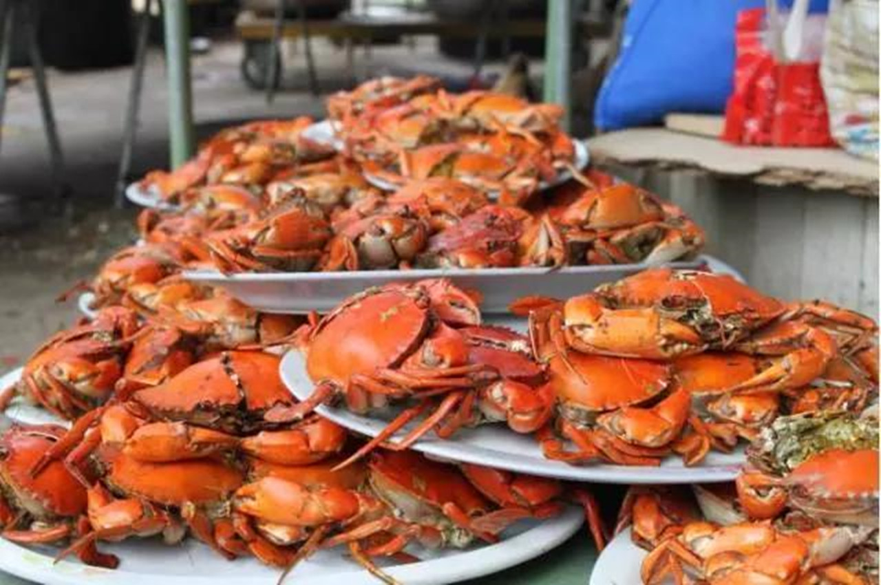 湛江海鲜都是什么价格,湛江盛产海鲜