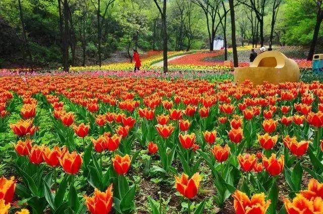 五一小长假出游攻略济南,济南五一旅游攻略推荐版