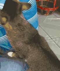 网上买的连衣裙到货了，店家连夜打电话跪求删除好评照片太尴尬了