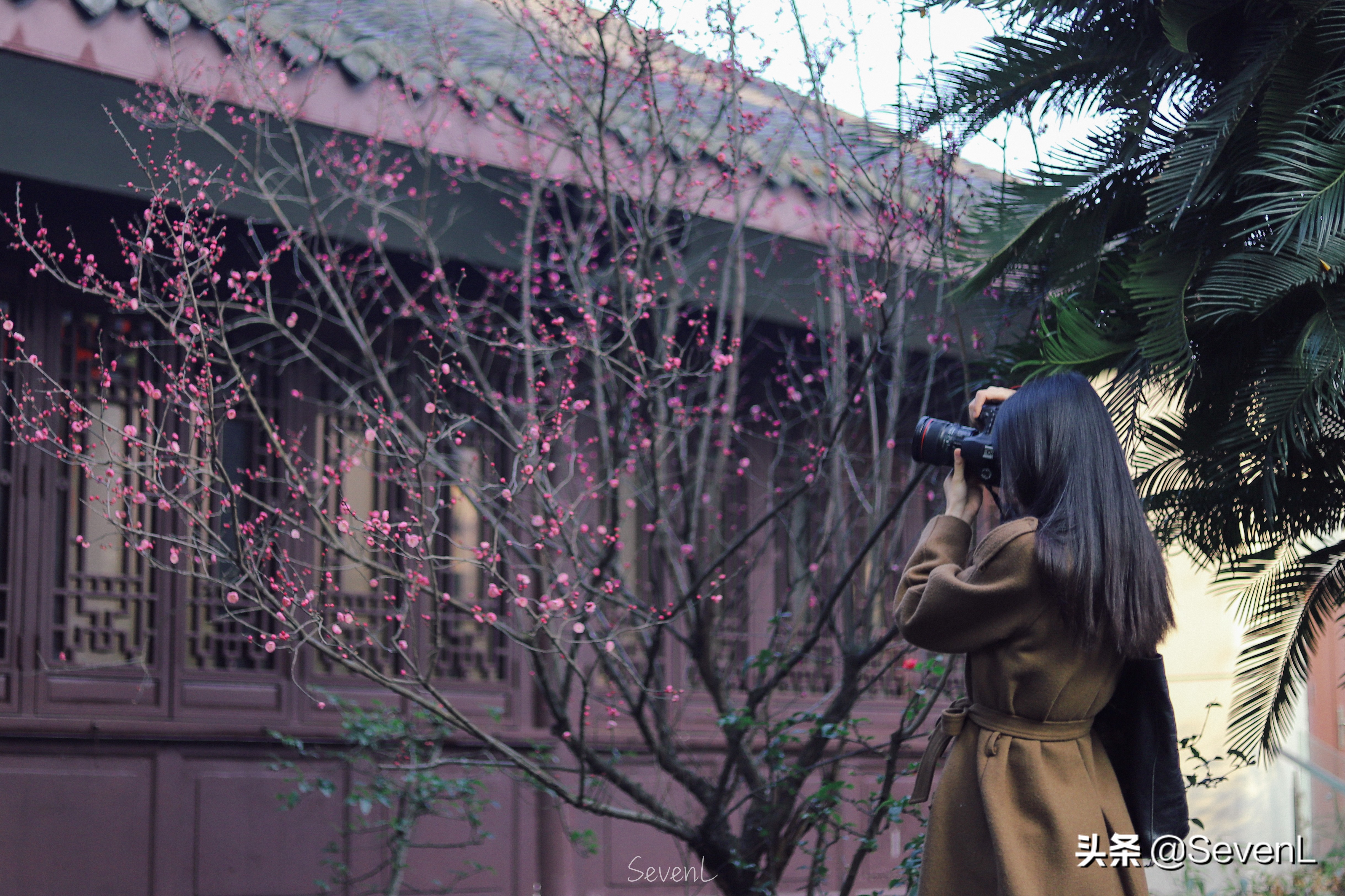 成都必去打卡地方杜甫草堂,成都东郊记忆杜甫草堂