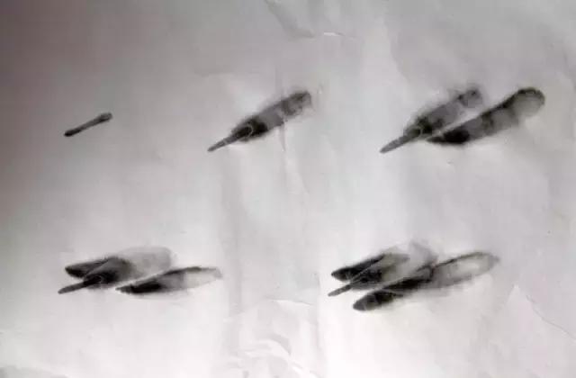 墨龙画法教程简单毛笔,河虾简笔画教程