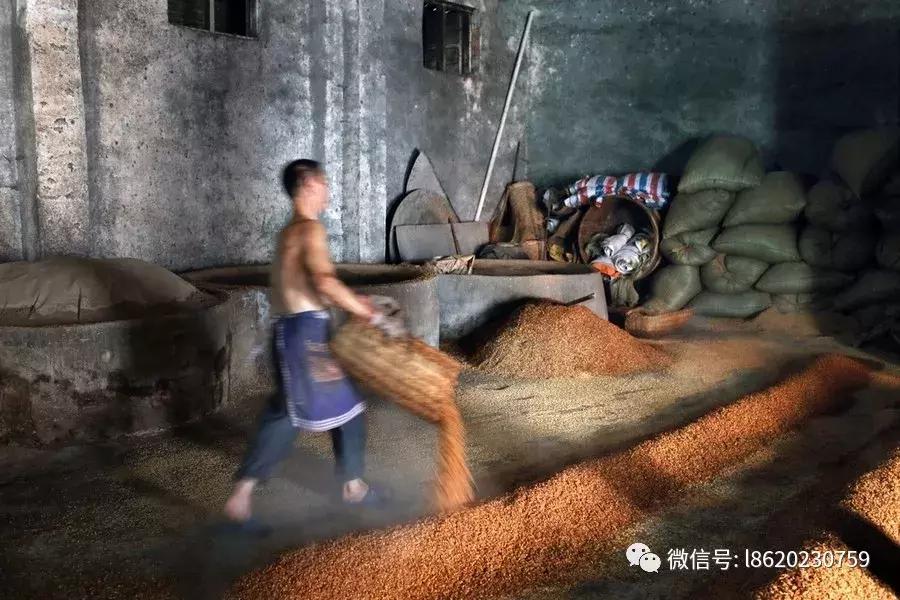 冒着严寒做酒的辛酸,只有酿酒工的才知道!