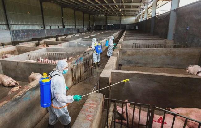 饲料将禁加哪些抗生素,饲料禁抗的抗生素包括哪些