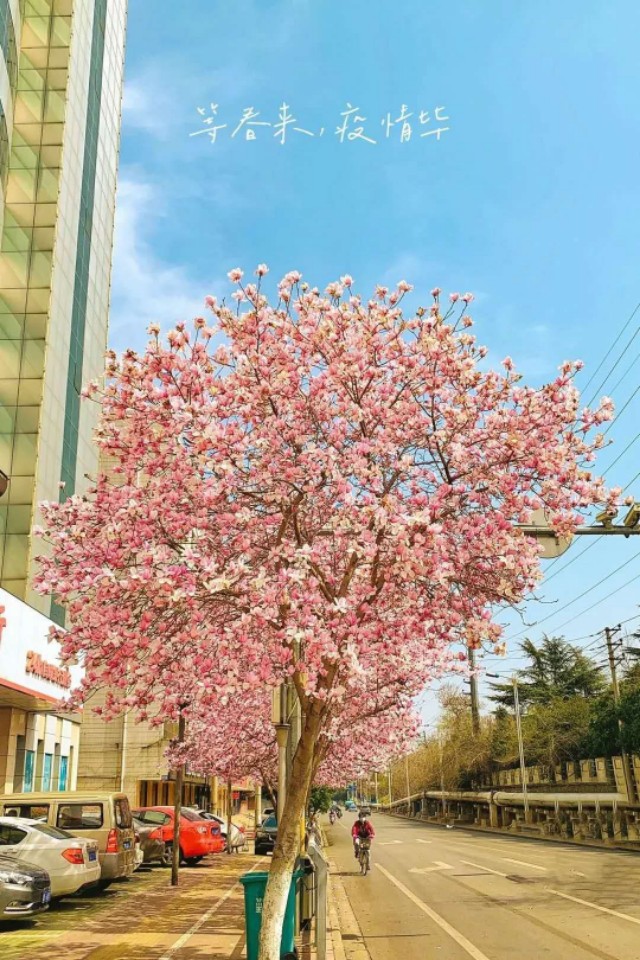 独自一人怎么生活,独自拼音