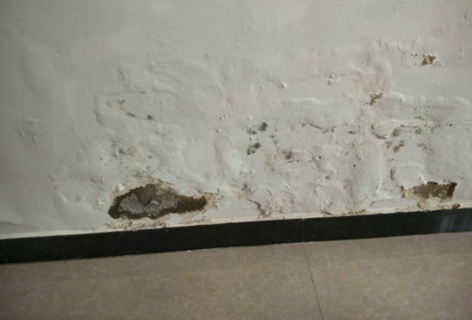 新房装修完墙面冒水怎么办,新装修房子墙面起碱怎么办