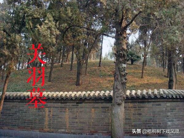 洛阳关羽墓为什么不称“墓”而称“林”？传有三原因