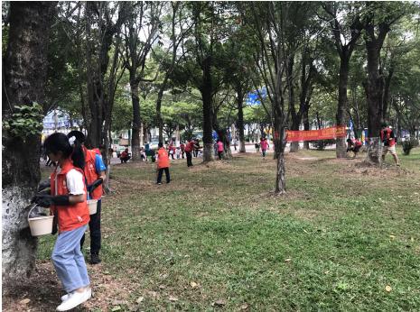 番禺|桥南街开展“大小齐动手,大树换新装”社区美化活动