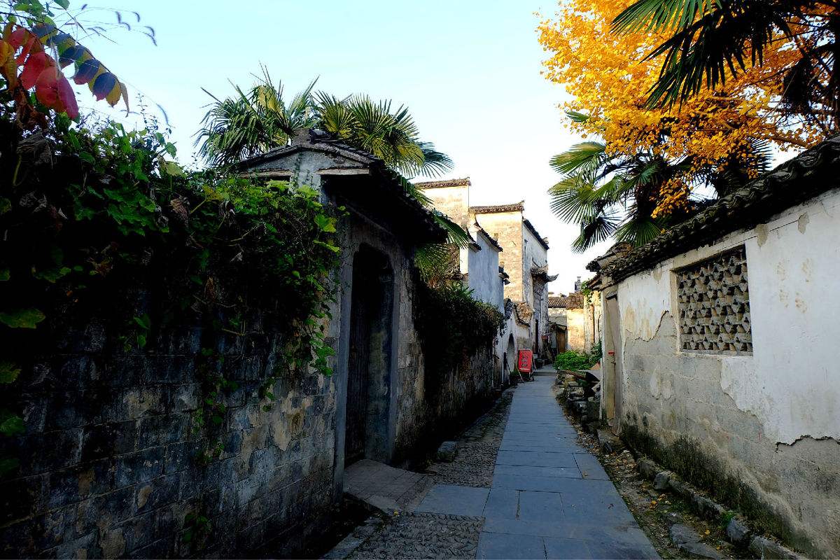 柯灵教育集团,柯南普通话版全集