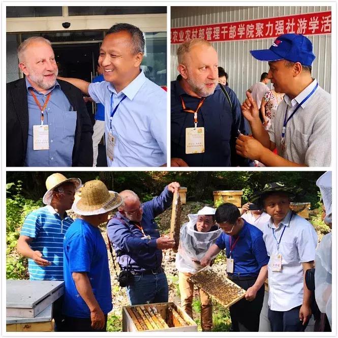 虎林战立新,虎林市黑蜂雪蜜