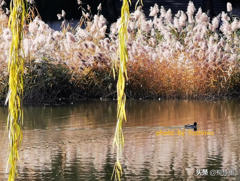 海边人像屏保拍摄技巧,人像屏保怎么拍摄好看