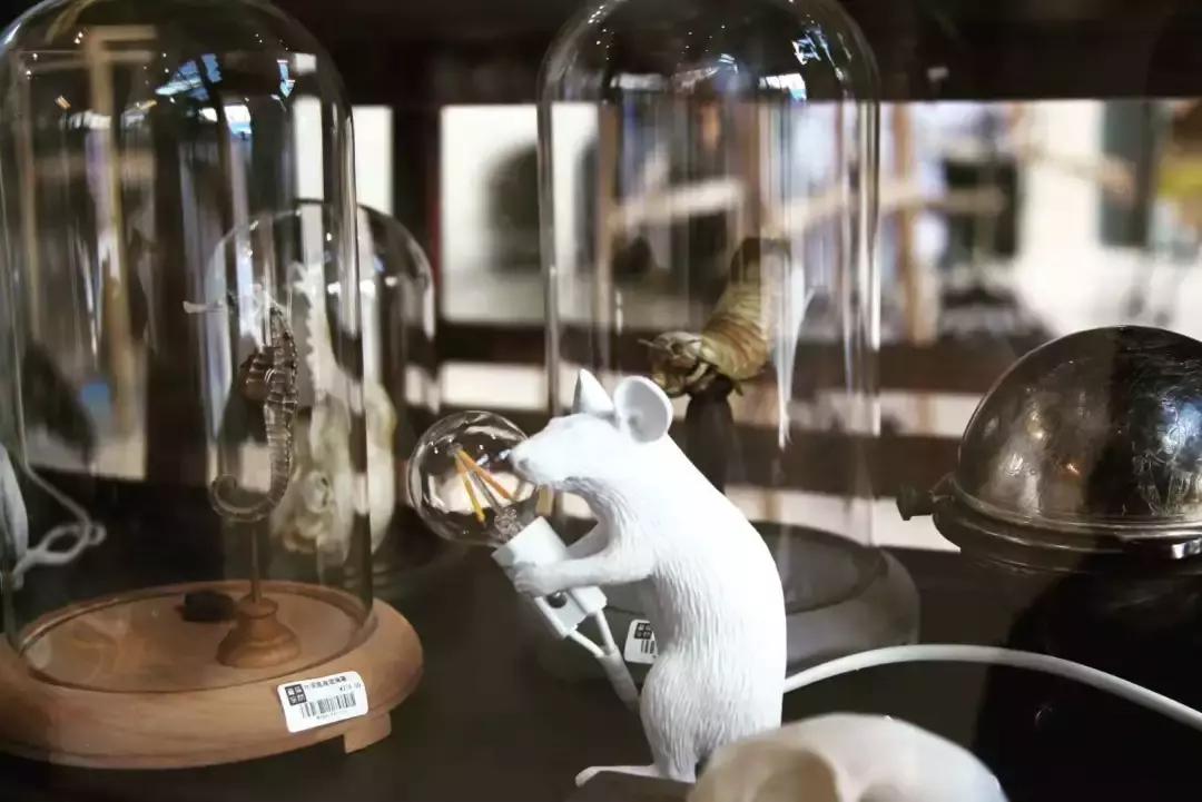 杭州西湖吃喝玩乐攻略,杭州必逛小店