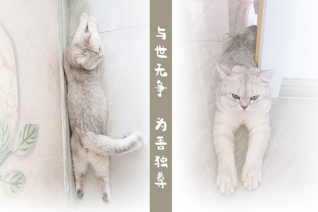 减压舒心*靠我**它，Breo养生小管家——倍轻松ScalpminiPro测评