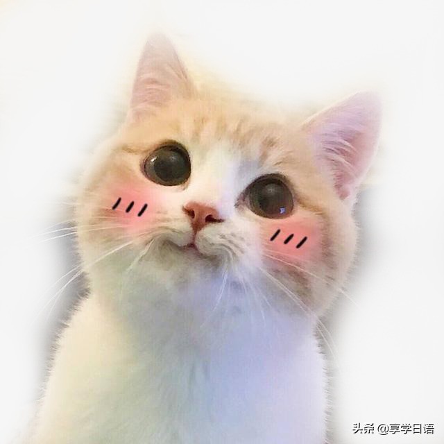 日语夸人常用语,用日语如何夸人可爱