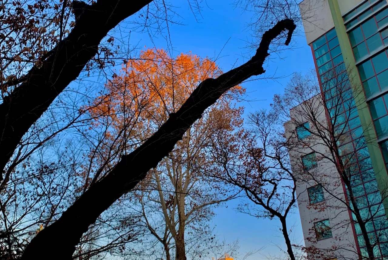 庆熙大学韩国排名第几,韩国庆熙大学留学学费