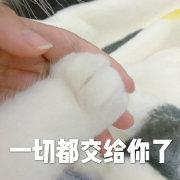 少儿《街舞》？街舞大神王晨艺联和街舞冠军，上演街舞养成计划