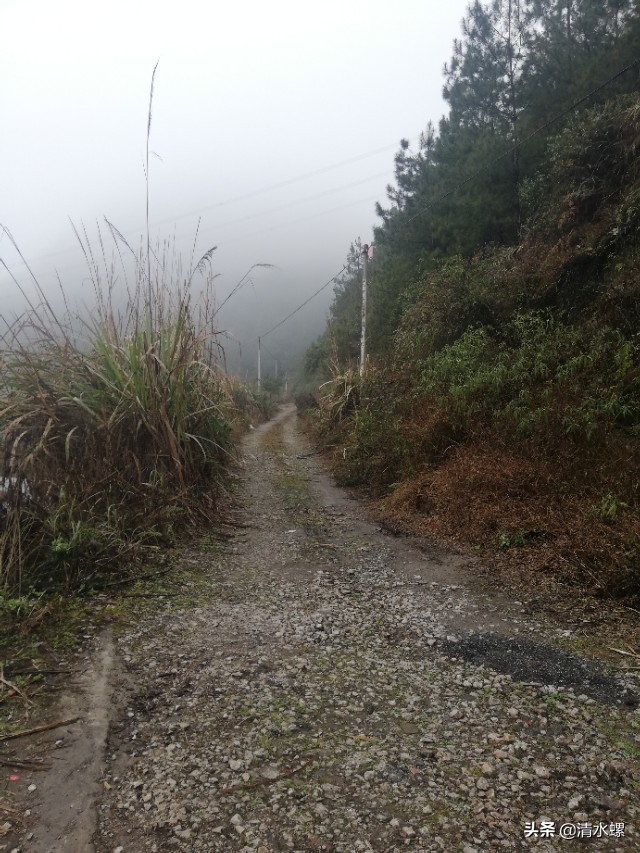 看到这个老铁路洞口,我莫名的伤心,童年的记忆都给我勾出来了