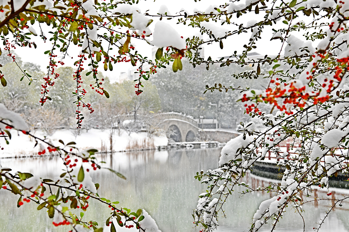 湖北武汉：雪润校园