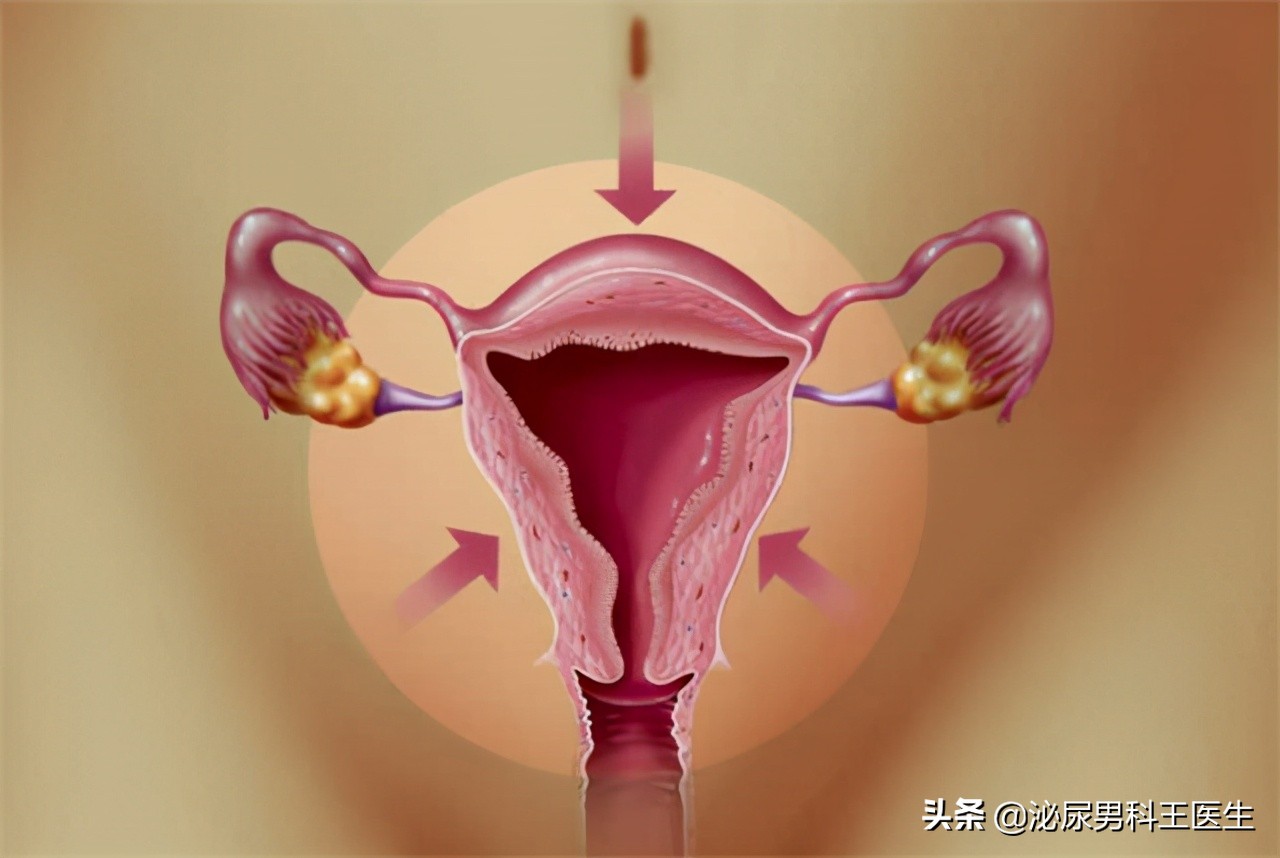 感染hpv病毒就会得宫颈癌吗,感染hpv得宫颈癌的几率