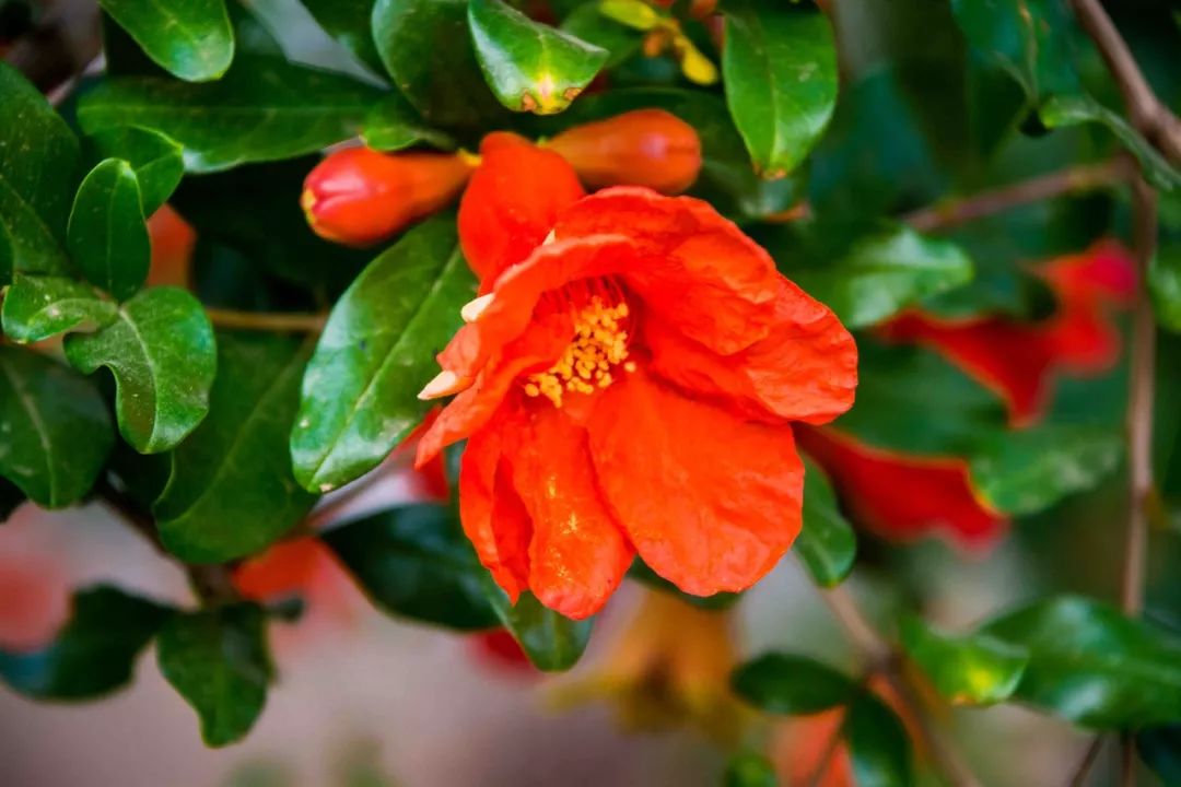 说秋道冬话永胜，气候多样人宜居