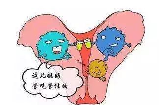 来，听我摆一摆二胎进行时