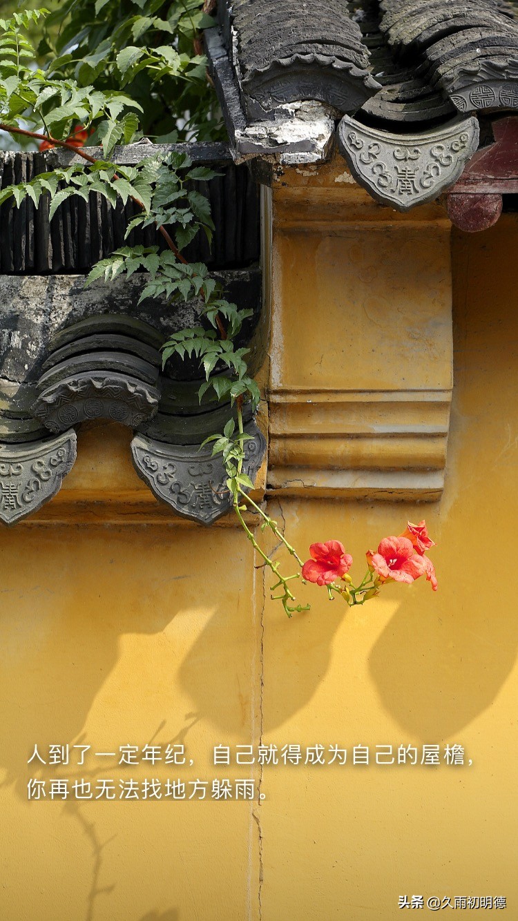 速热电热水器安全可靠吗,速热式电热水器哪款性价比高