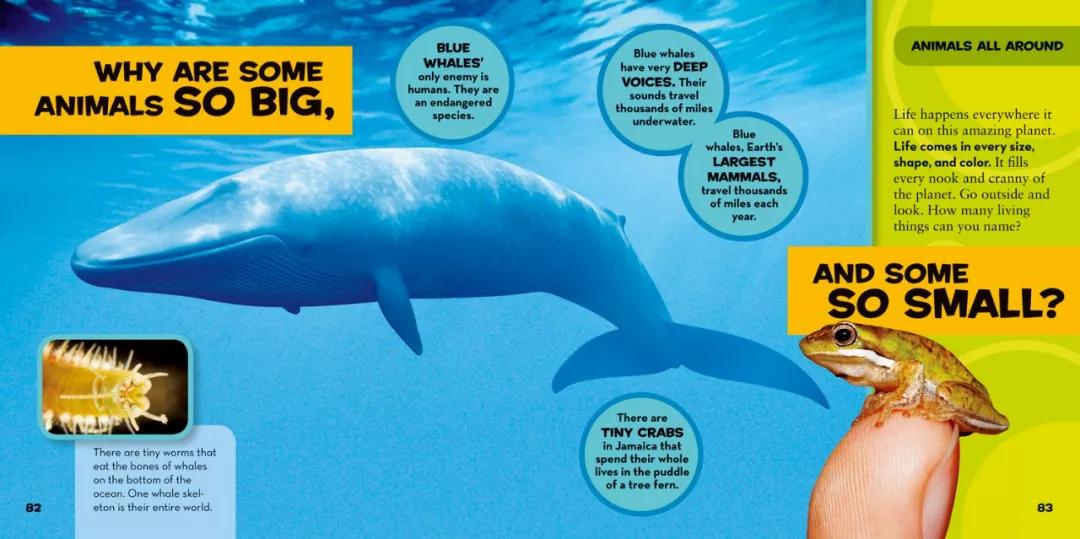 亚马逊必读的100本绘本,亚马逊大穿越绘本