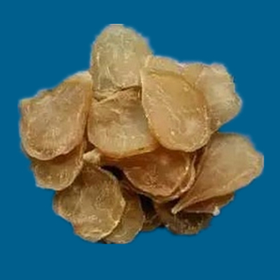 附子的种类图片大全,附子有多少种品种图片