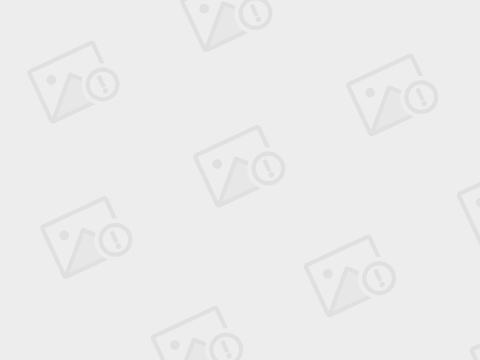 法研都学什么,法研教育