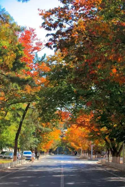 辽宁省有个小城市,辽宁最有魅力的小城