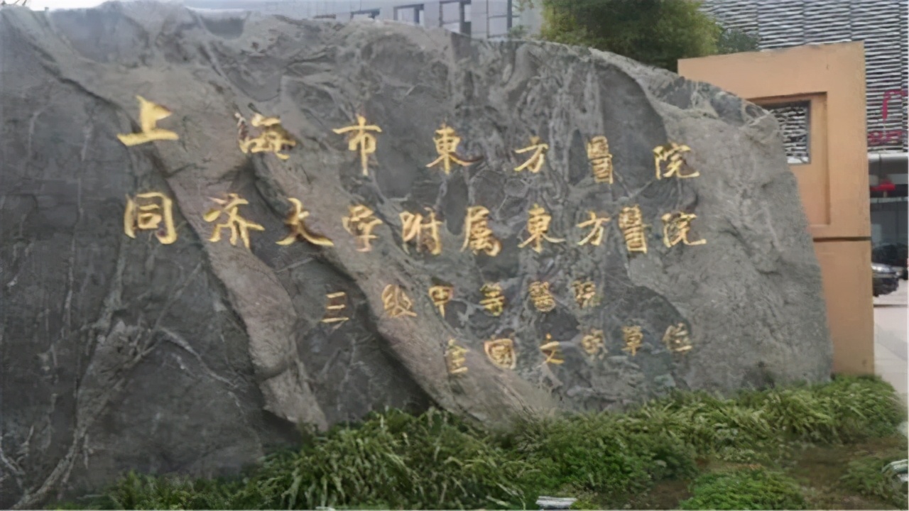 上海市东方医院三甲,上海东方医院新院区