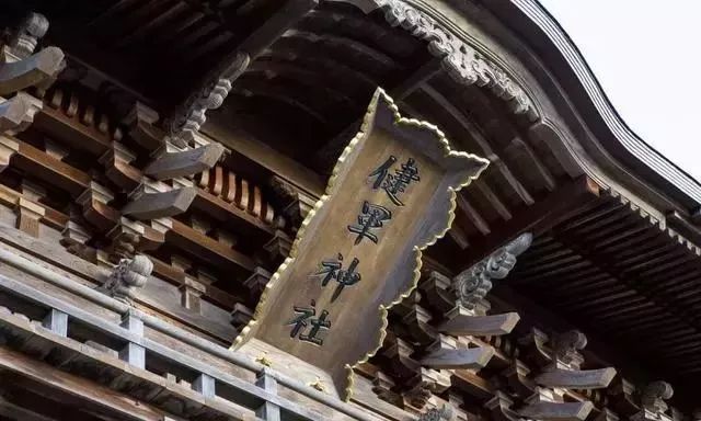 行乐携熊本市政府，又送来新年重磅福利团，仅招募1人