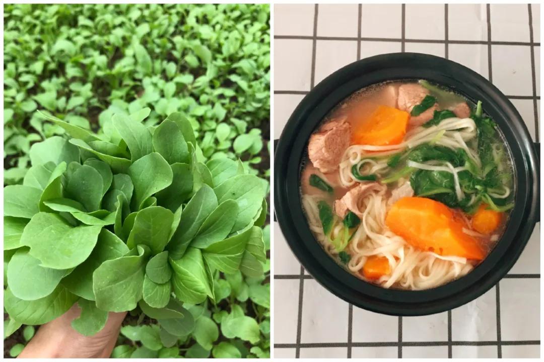 阿姨街头做的小吃,武汉姑娘做美食