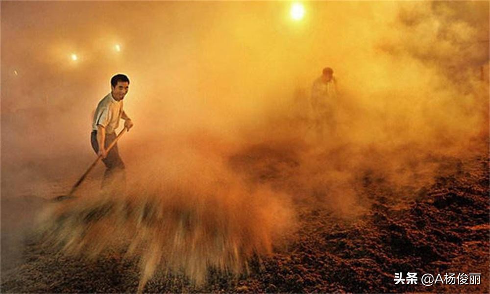 酿酒厂造酒工艺流程及注意事项,杨俊丽固态酒视频