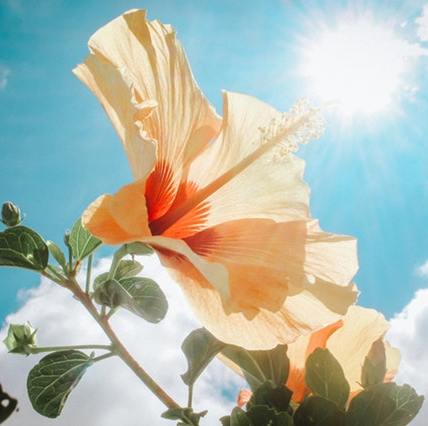 怎么减少创伤性关节炎的发生,怎么避免创伤后应激障碍