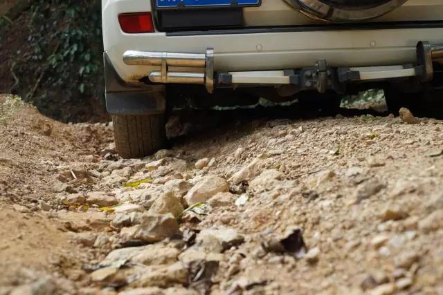 为什么在网上买不到合适的茶,网上买的茶为什么不好