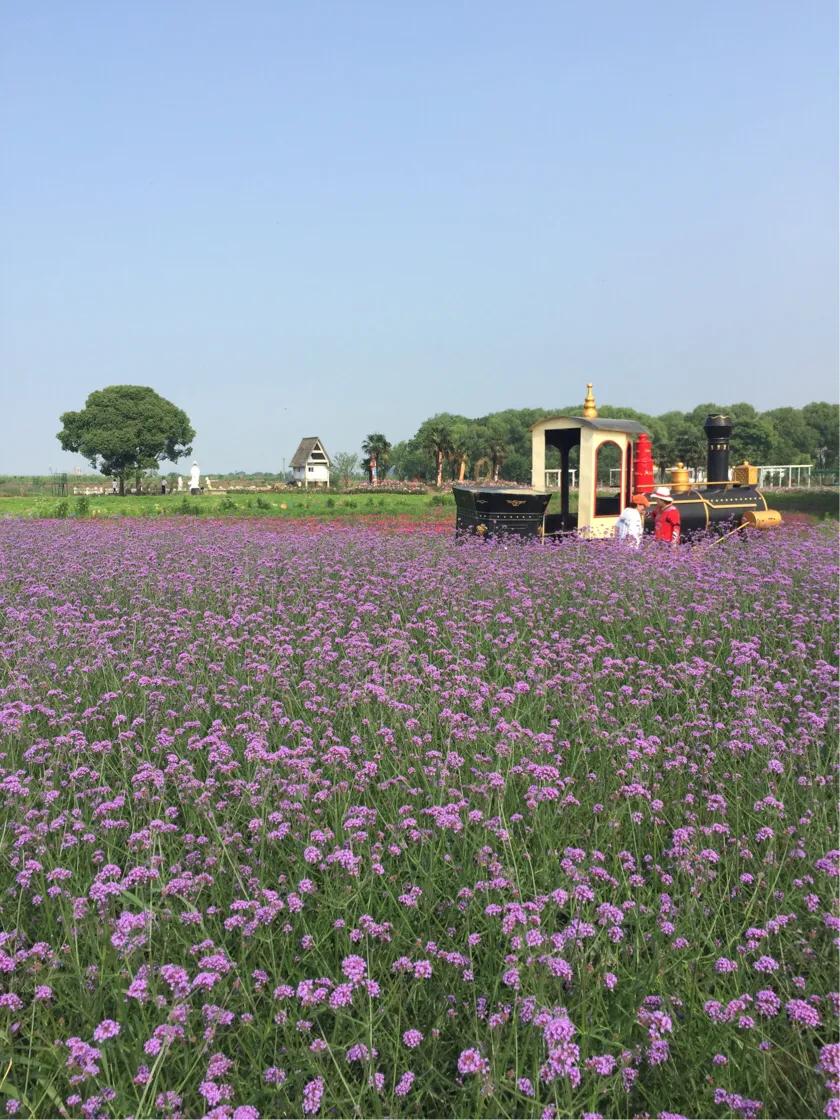 春的序曲洞庭西山,洞庭西山作品顺序