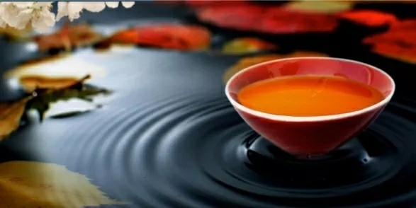 秒懂百科一分钟了解论语,秒懂知识全部视频